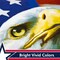 G128 - American Flag with Eagle God Bless America Patriotic Garden Flag, | 12x18 Inch | Printed 150D Polyester - Rustic Holiday Seasonal Outdoor Flag